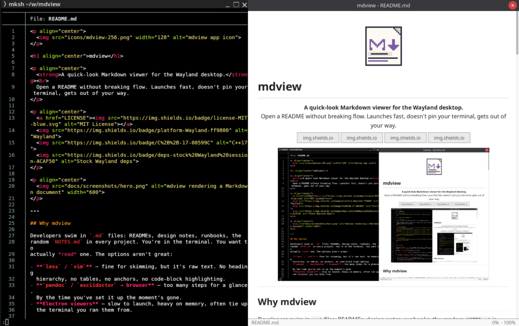 bat README.md on the left, mdview rendering the same README on the right